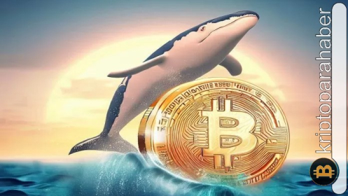 Balina adresleri düşüşü satın aldı! İşte dikkat çeken veriler