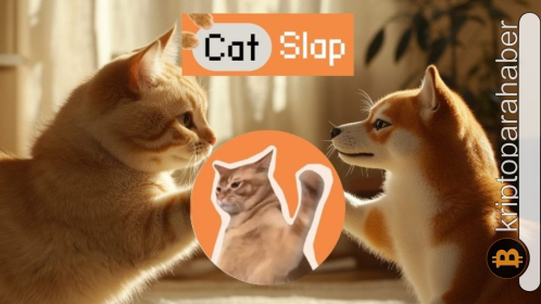 CatSlap (SLAP), meme coin piyasasının yeni favorisi olmaya aday! İşte sebepleri