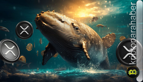XRP fiyatı için risk yükseldi: Balinalar kâr alımına mı hazırlanıyor?