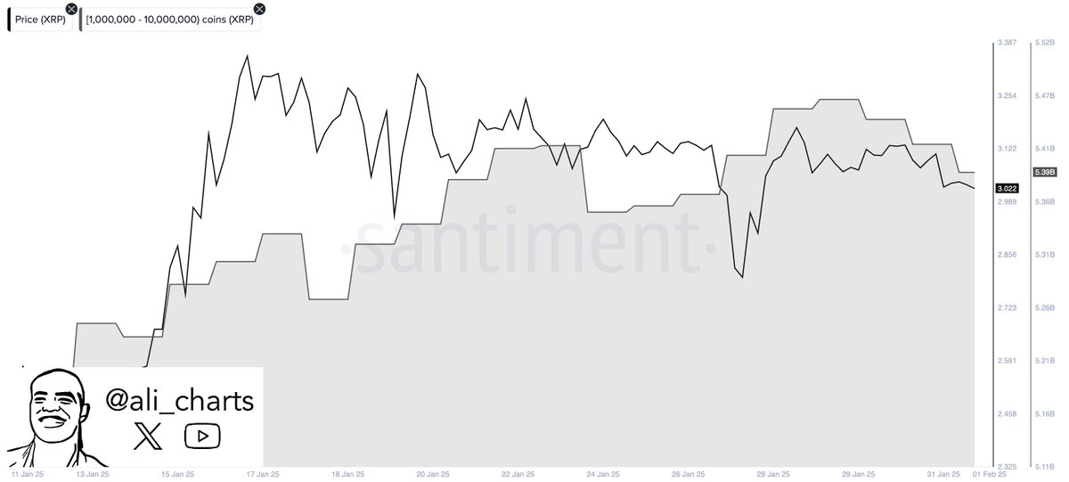 XRP ETF