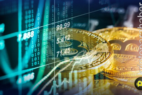 Kripto 2025: Büyük oyuncuların psikolojik savaşı ve küçük yatırımcıların hataları