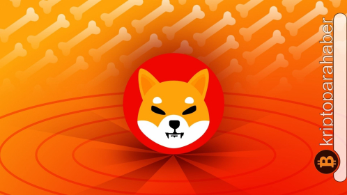 Shiba Inu balinaları fiyatı yeni bir kırılma noktasına taşıyor: SHIB fiyatında büyük bir çöküş kapıda olabilir mi?
