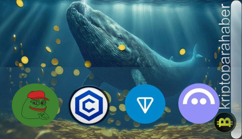 Balinaların yeni gözdesi HYPE, AAVE, PEPE coin oldu: Büyük fiyat hareketi devam edecek mi?
