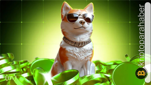 Dogecoin fiyatı düşerken hacim yükseliyor: Büyük yükselişin ayak sesleri mi geliyor?