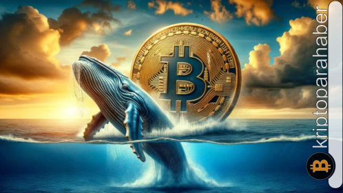 Bitcoin balinalarından güzemli transferler: 127 milyon dolarlık BTC alımının ardındaki asıl gerçek ne?