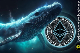 Kripto balinaları kritik karar öncesinde ne alıp satıyor?