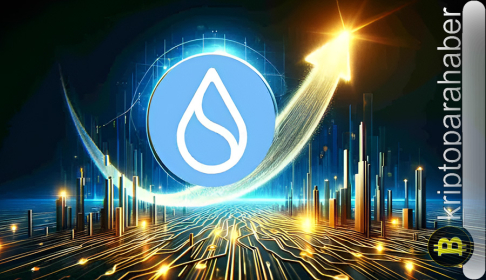 Piyasa çakılırken bu Katman-1 (L1) coinleri büyük bir yükselişe hazırlanıyor!