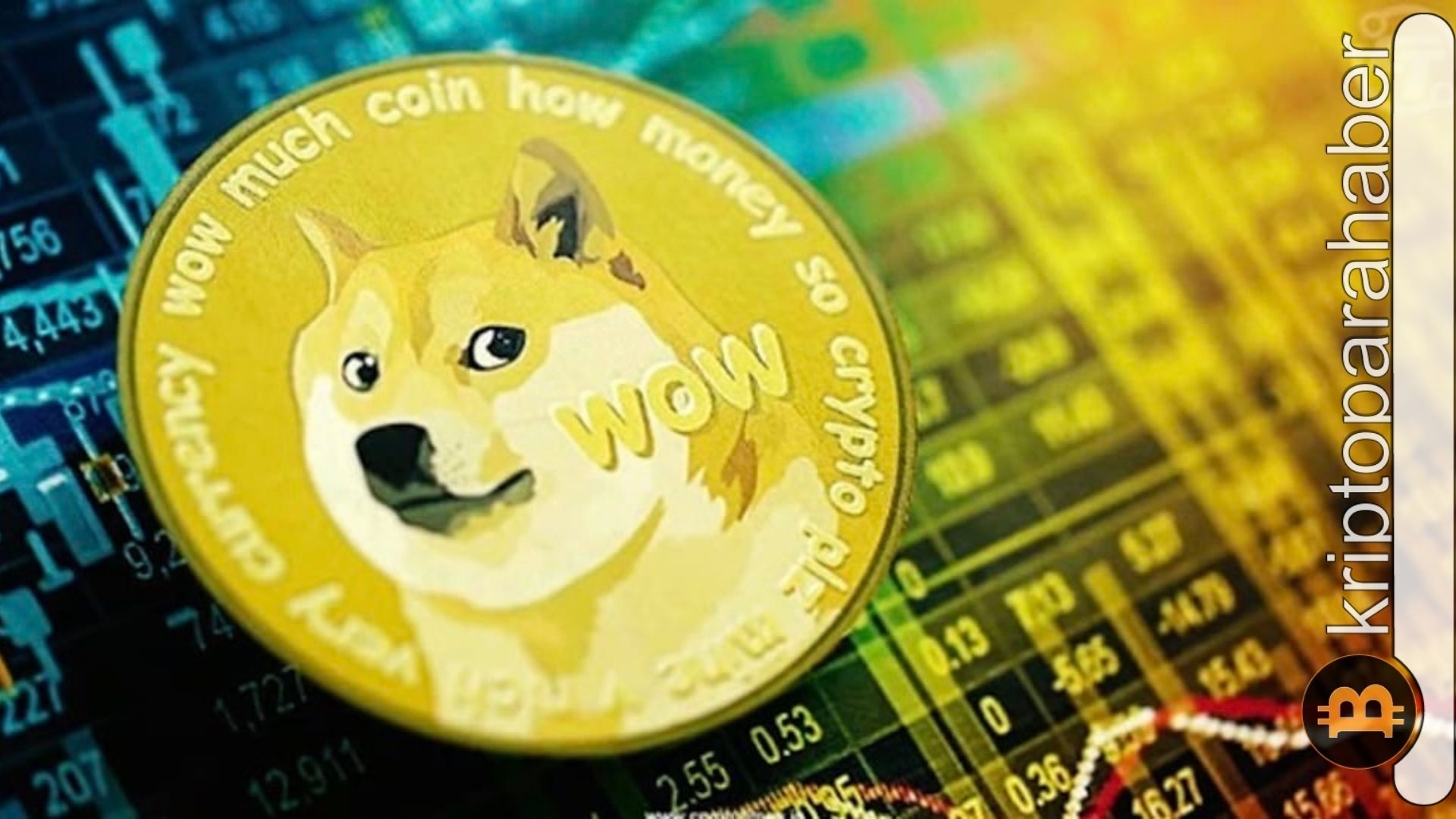Dogecoin kripto balinalarının yeni favorisi oldu: Popüler analistlerin  çarpıcı fiyat analizleri ve 1 dolar hedefi