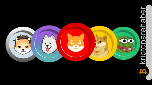 Kripto piyasasında yeni nesil meme coin çılgınlığı: Gözden düşenler ve yeni popüler meme coin’ler arasından doğru tercih nasıl yapılır?