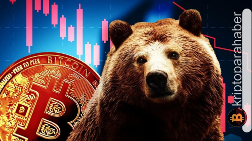 Bitcoin piyasasında dev tasfiye dalgası! BTC 113,000 doların altına düştü, piyasalar alarma geçti