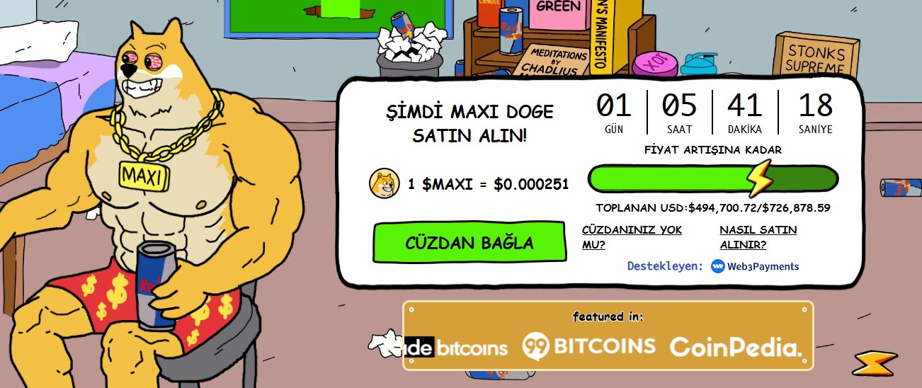Maxı meme coin