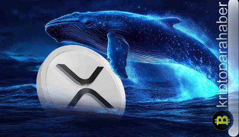 XRP’de büyük oyun! Balinalar 120 milyon dolarlık alım yaptı, büyük ralli mi geliyor?
