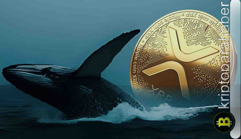 Büyük balinalar iş başında: XRP satışları sürerken yatırımcı HYPER biriktirmeye devam ediyor