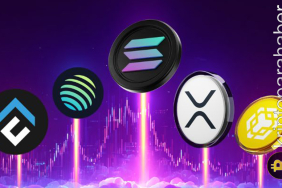 Piyasanın önde gelenlerinde son durum: SOL, XRP ve LINK