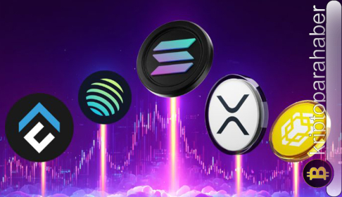 Piyasanın önde gelenlerinde son durum: SOL, XRP ve LINK