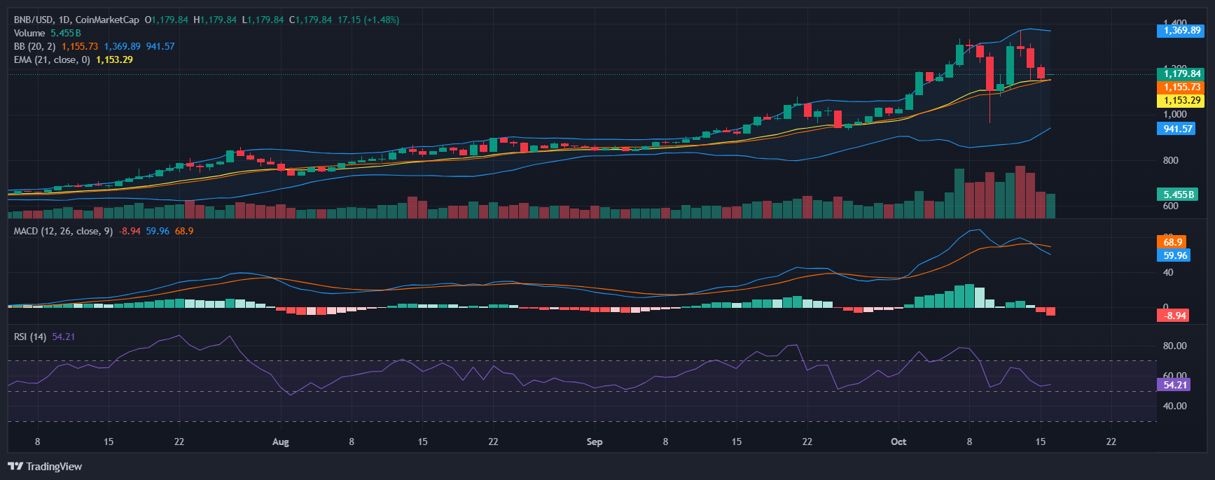 BNB teknik grafik 