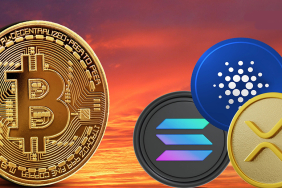Bitcoin ve altcoinler