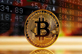 Bitcoin ekim fiyat görünümü