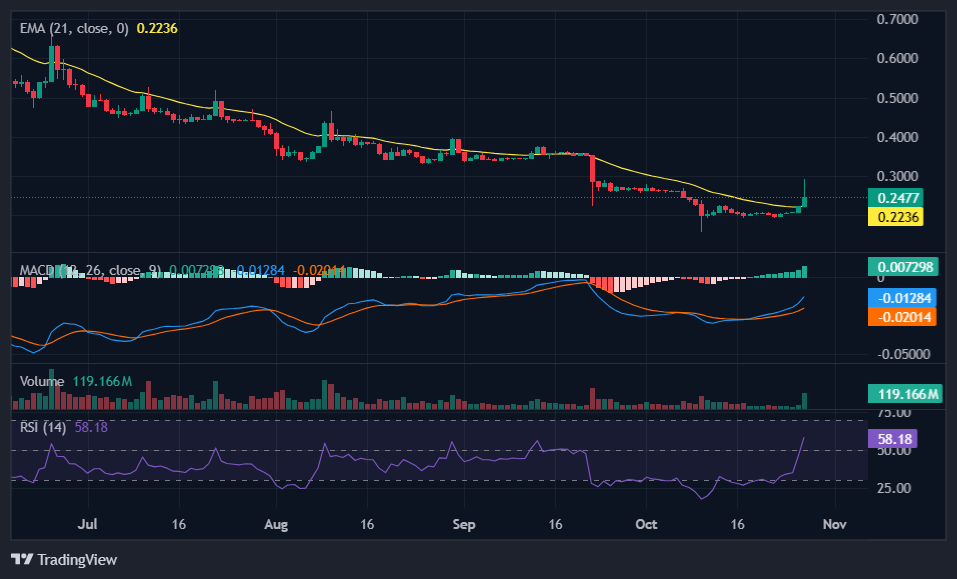 PI coin teknik grafik