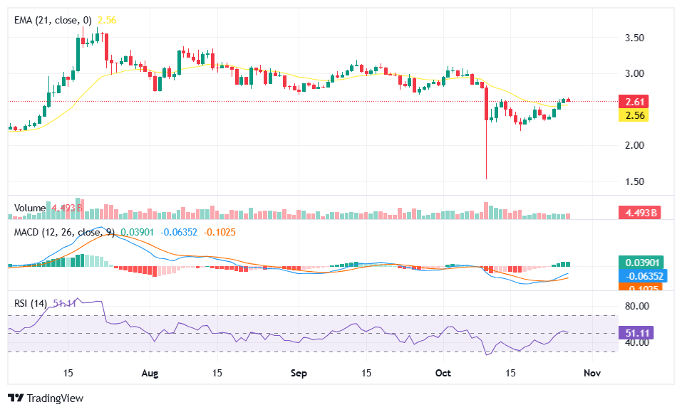 XRP teknik grafik