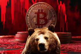 Bitcoin ayı piyasası