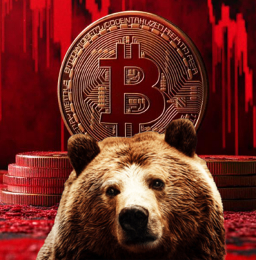 Bitcoin ayı piyasası
