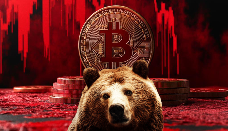 Bitcoin ayı piyasası