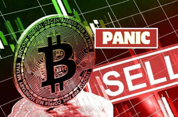 Bitcoin fiyat düşüşü