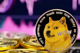 Dogecoin ETF performansı