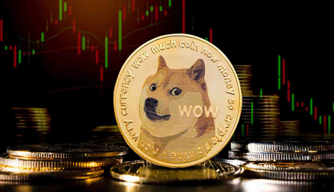 Dogecoin tarihi fiyat rallisi