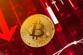 Kripto para piyasası 12 kasım