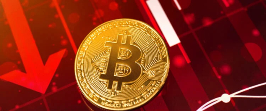 Kripto para piyasası 12 kasım