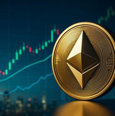 balinaların biriktirdiği coinler