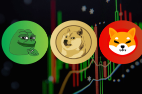 2025 en çok kazanan meme coinler