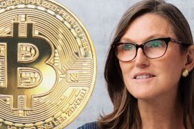 Bitcoin dört yıllık döngüsü