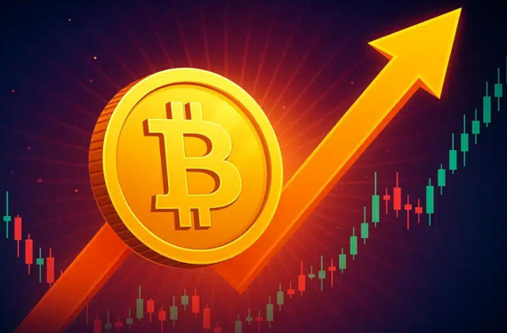 bitcoin boğa piyasası