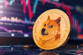 dogecoin analizi