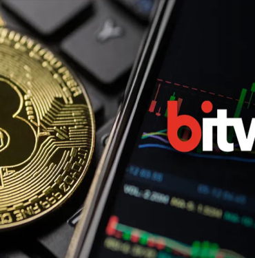 Bitwise Bitcoin analizi