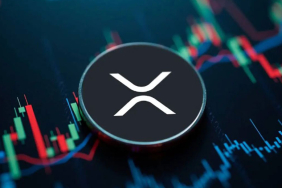 XRP balina birikimleri artıyor
