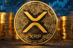 XRP fiyatı